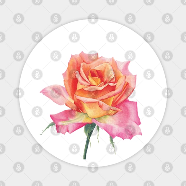 Watercolor orange rose Magnet by InnaPatiutko